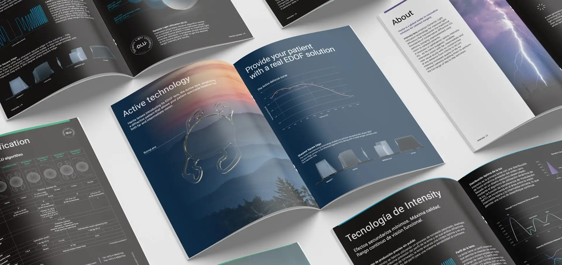 Brochure Design b2b