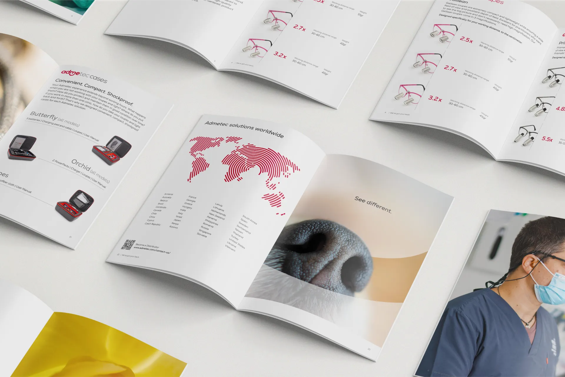 Brochure for B2B