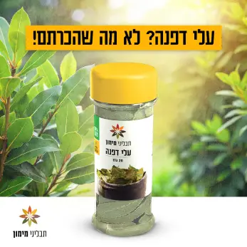 Maimon Social design