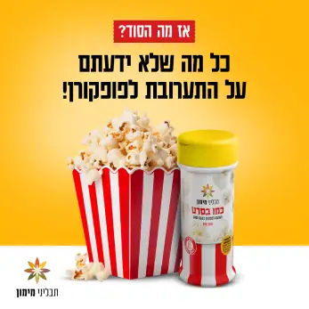 Social Posts Design - Maimon