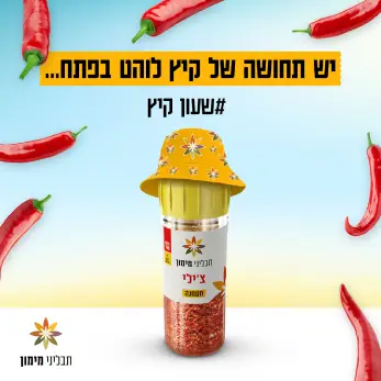 Social design - Maimon