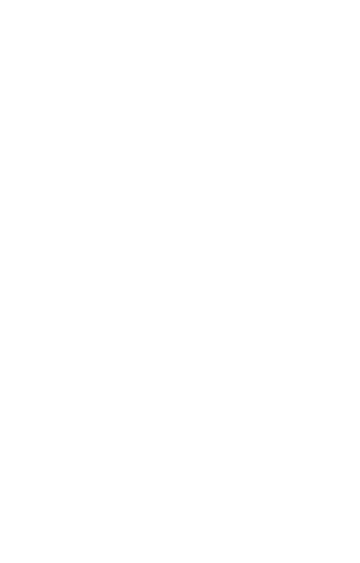 Envaion background